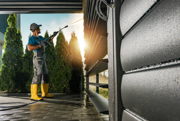 Best House Exterior Washing  in Tracy, MN